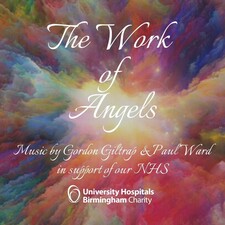 cover of The Work of Angels